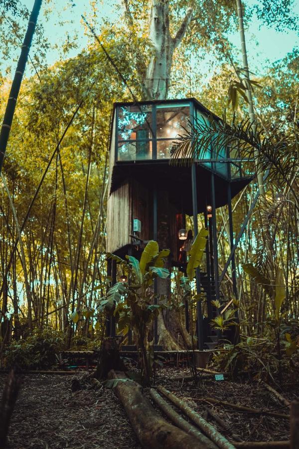 Amanatu Ecolodge & Spa Quimbaya Eksteriør bilde