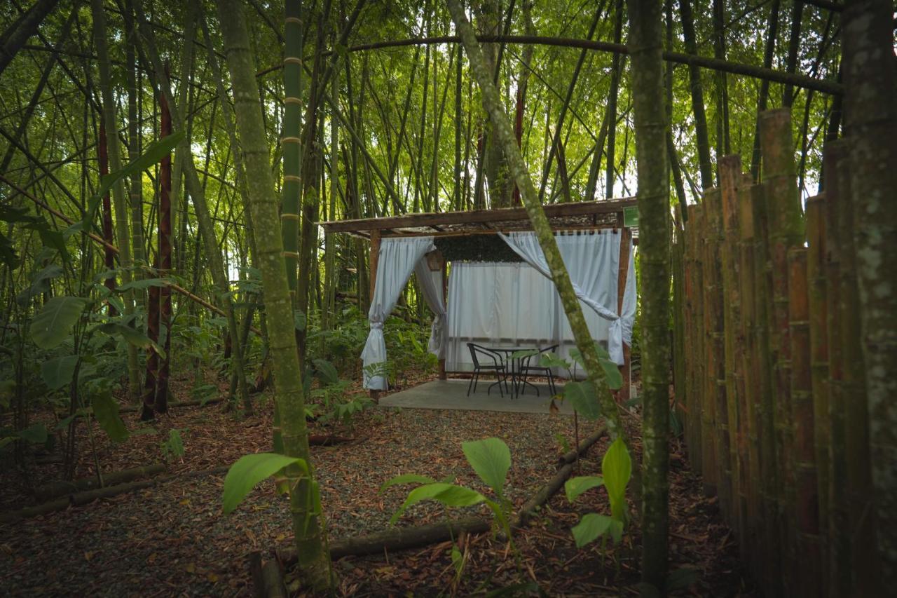 Amanatu Ecolodge & Spa Quimbaya Eksteriør bilde