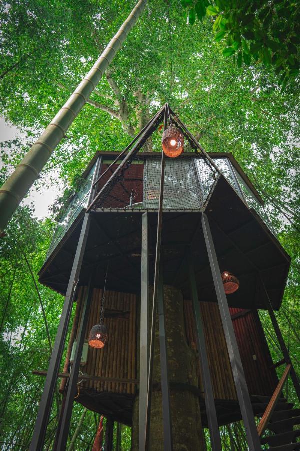 Amanatu Ecolodge & Spa Quimbaya Eksteriør bilde