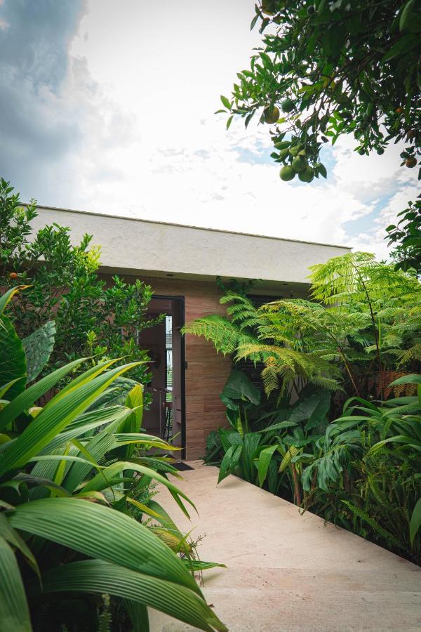 Amanatu Ecolodge & Spa Quimbaya Eksteriør bilde